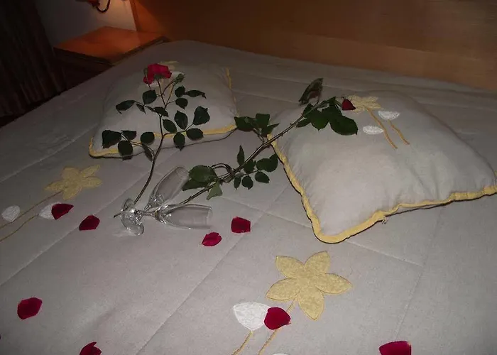 Eurosol Алканена